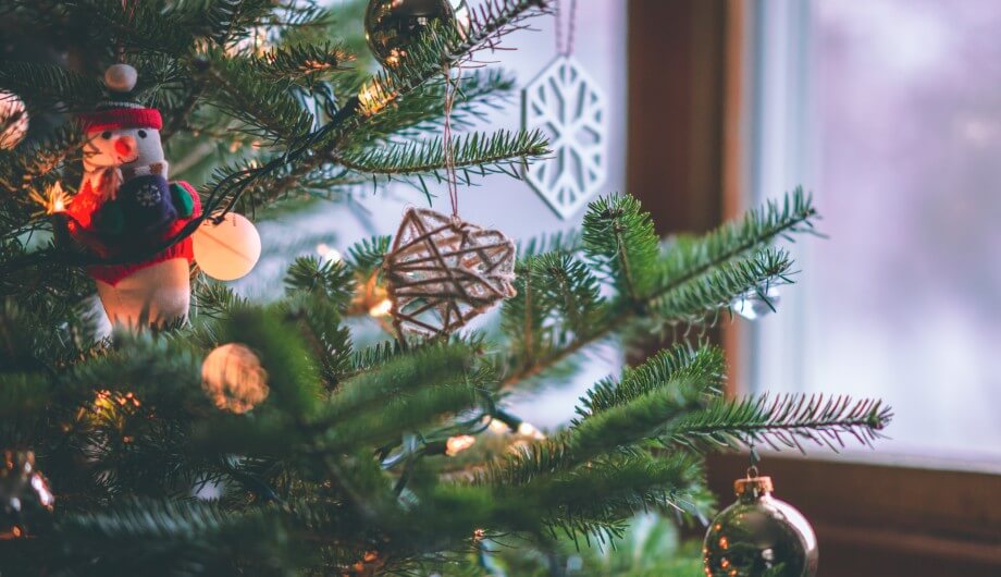 Christmas Tree Recycling: volunteer opportunity