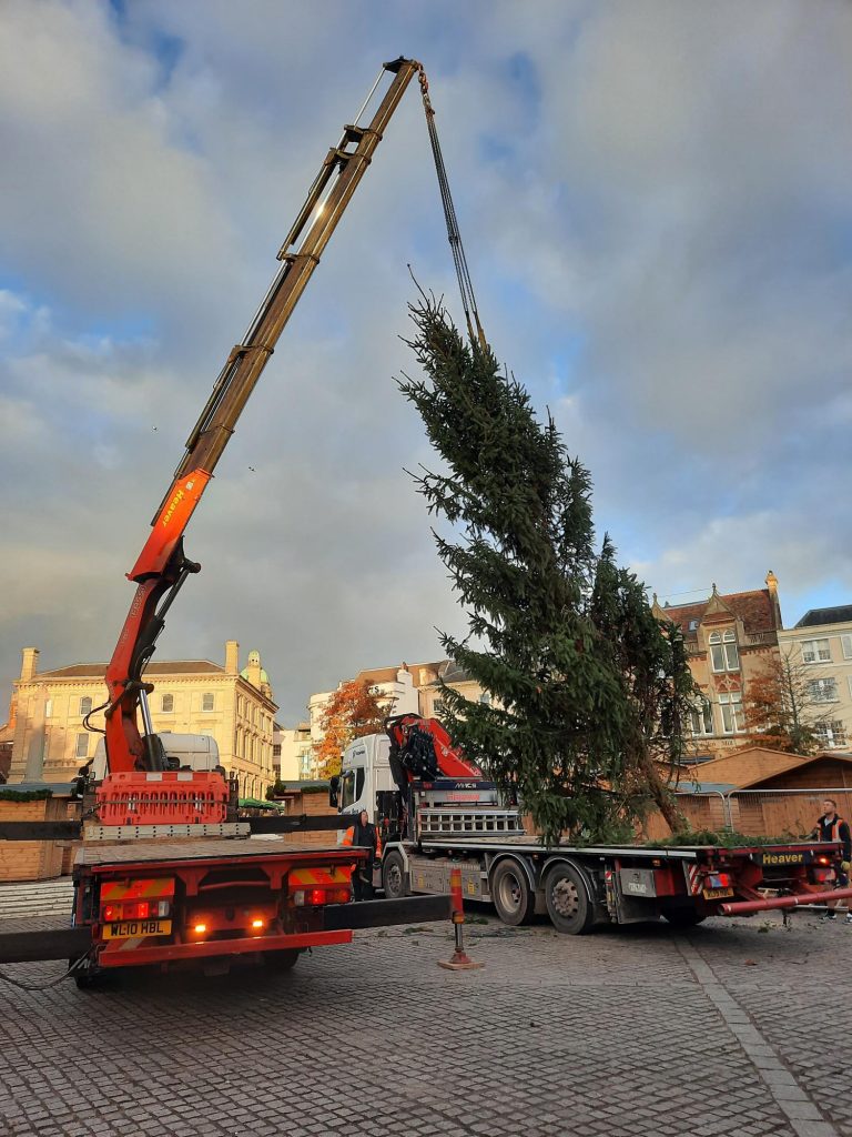 A huge Christmas tree being unloaded by a lorry