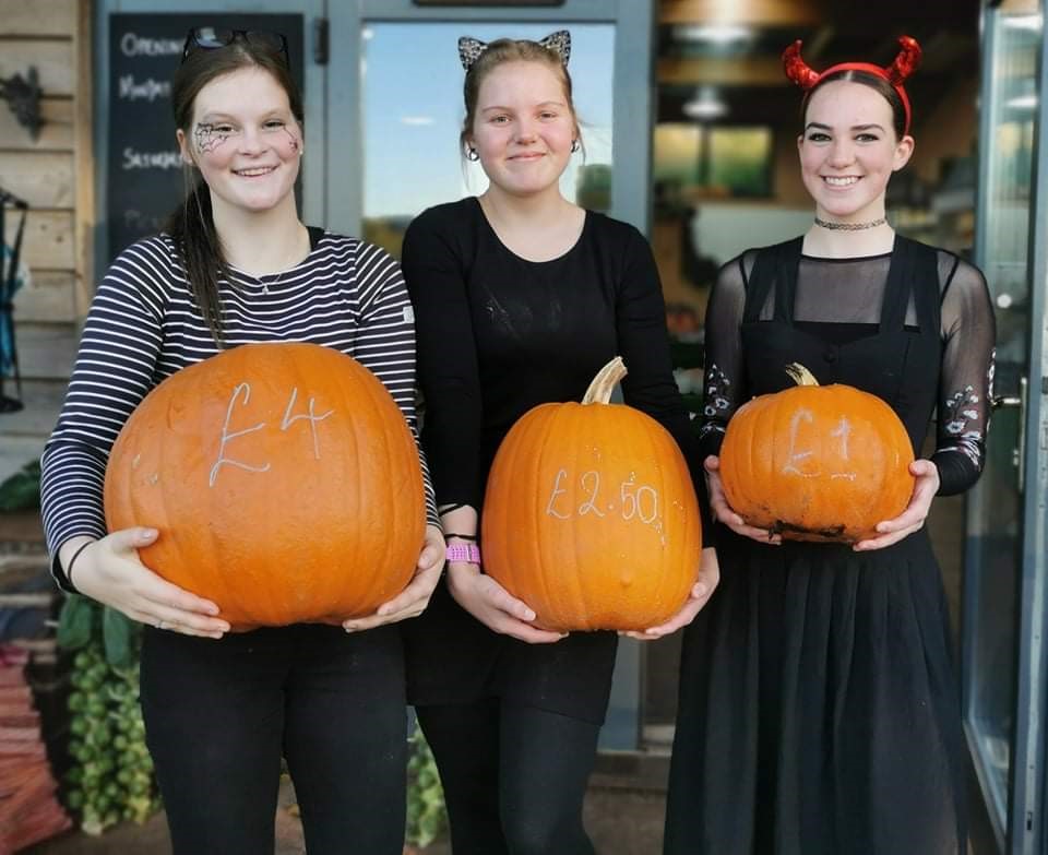 Three women dressed in black holding pumpkins