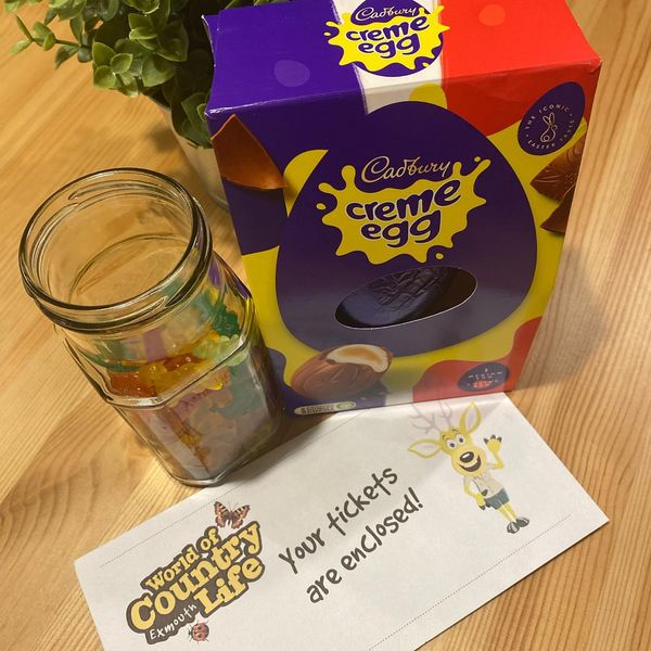 An Easter egg, ticket and jar of jelly beans