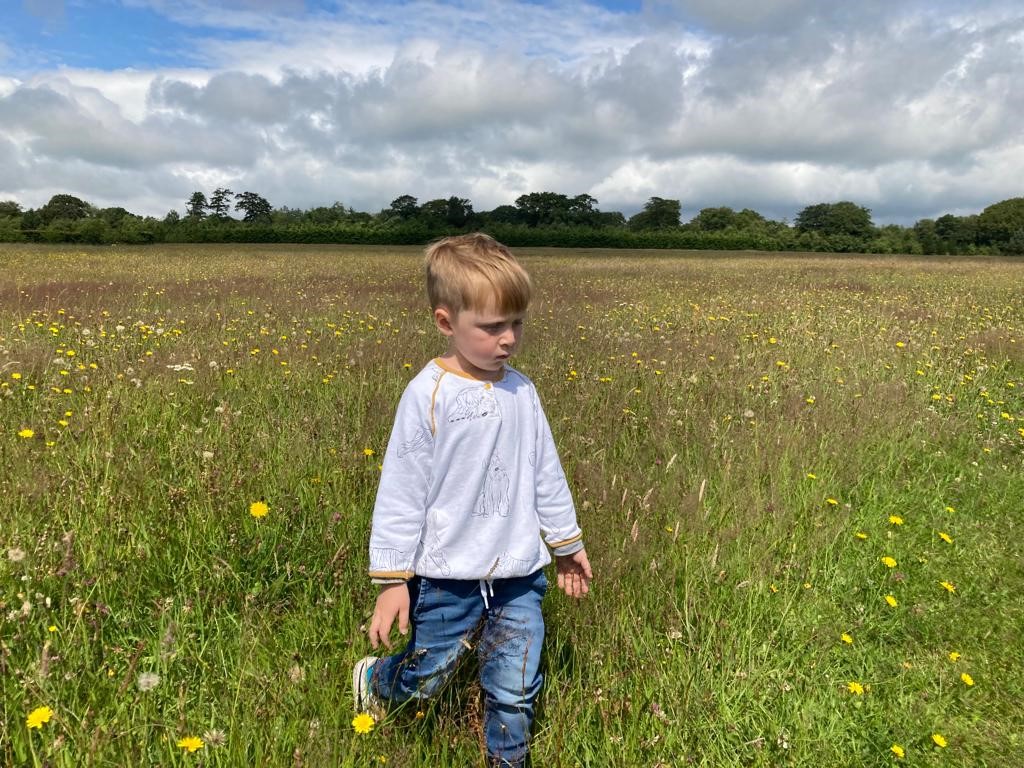 A boy walking in a meadow