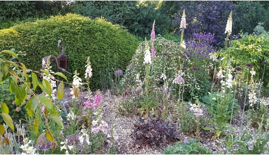 Open Garden – The Old Rectory, Awliscombe