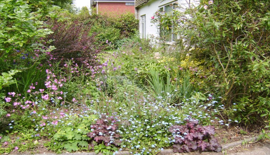 Open Garden – Trenton, Matford Road, Exeter