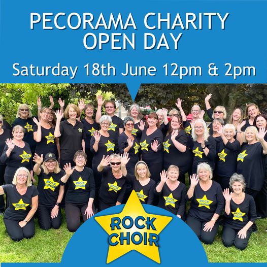 An advert for a rock choir event