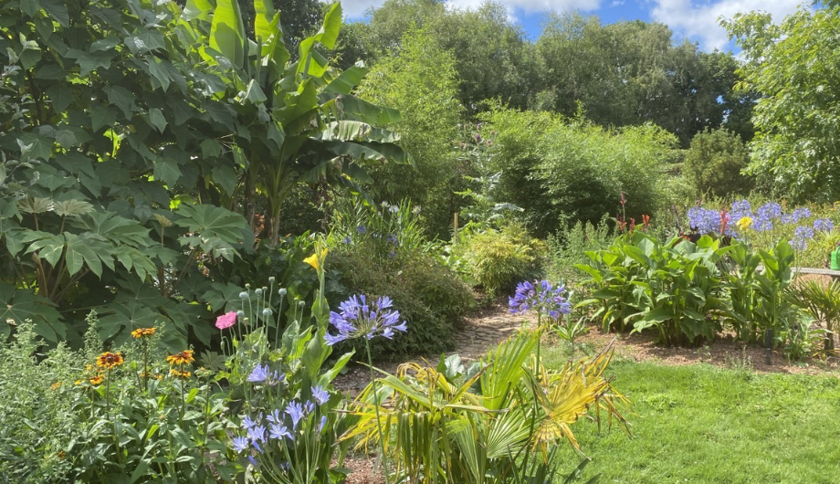 Southey Farm, Okehampton – Open Garden