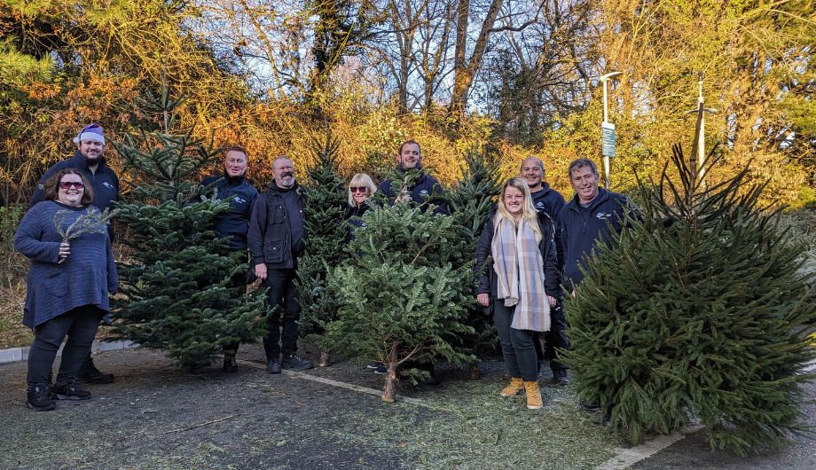 Christmas tree recycling raises £38k!
