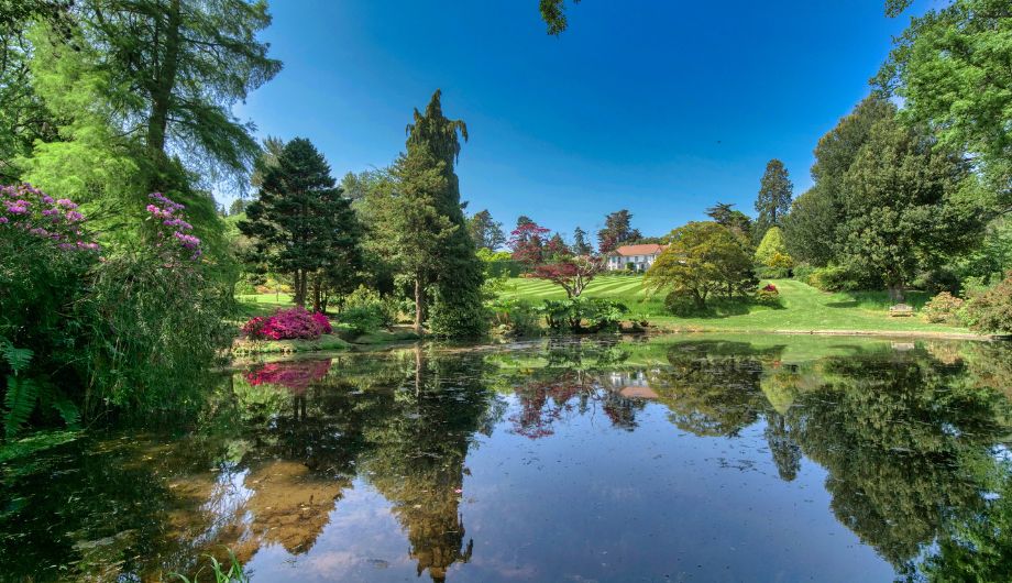 Beautiful Devon gardens open to support Hospiscare